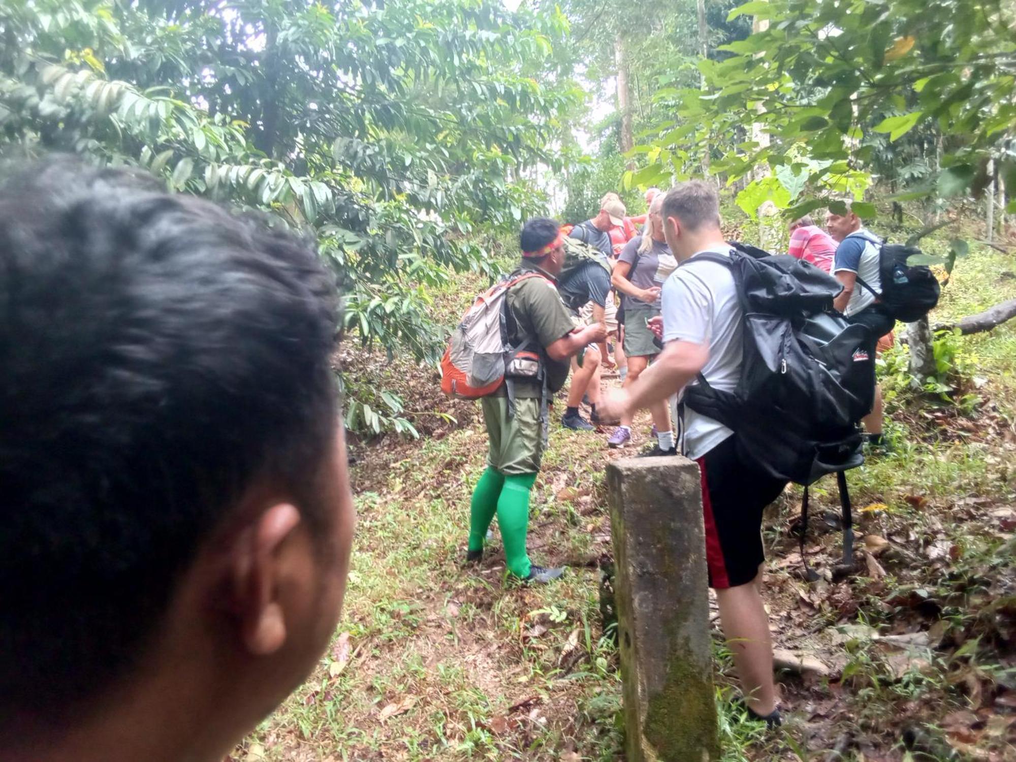 Jungle treking Vandrerhjem Bukit Lawang Eksteriør bilde