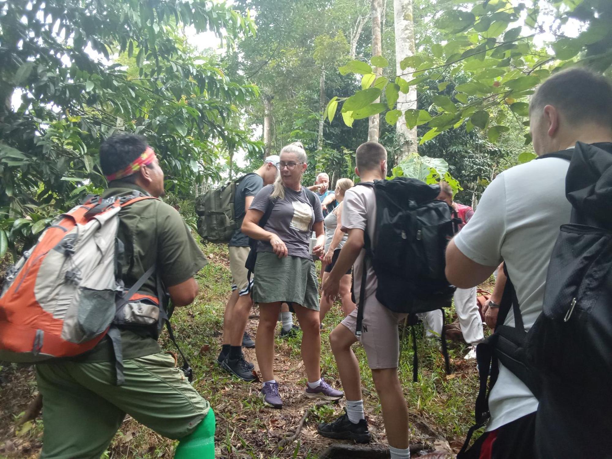Jungle treking Vandrerhjem Bukit Lawang Eksteriør bilde