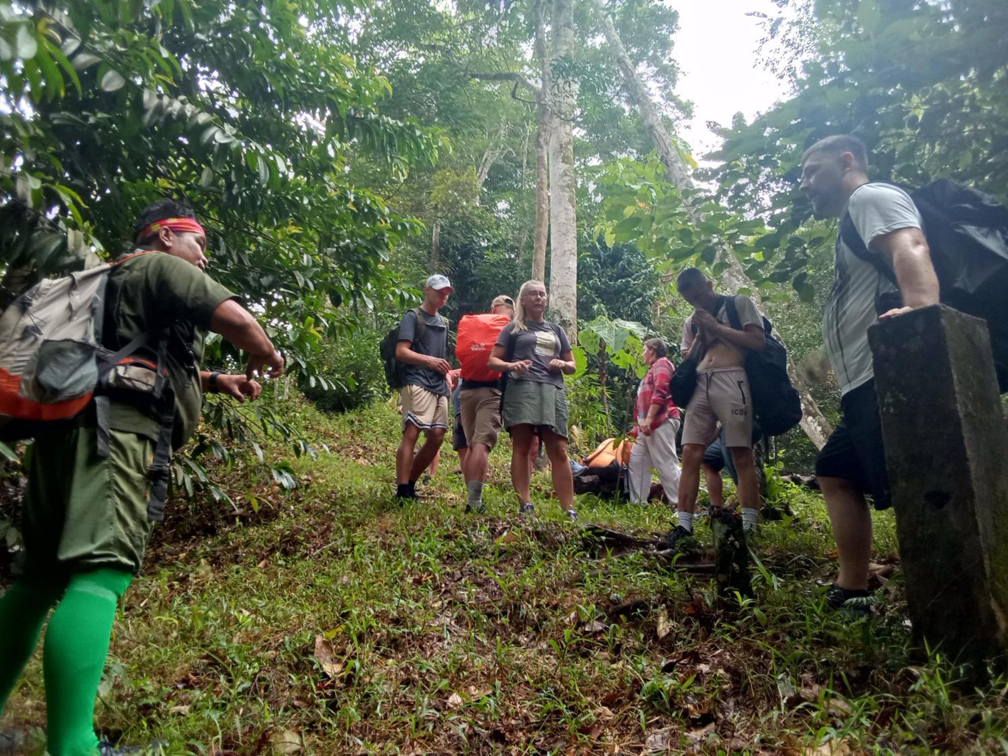 Jungle treking Vandrerhjem Bukit Lawang Eksteriør bilde