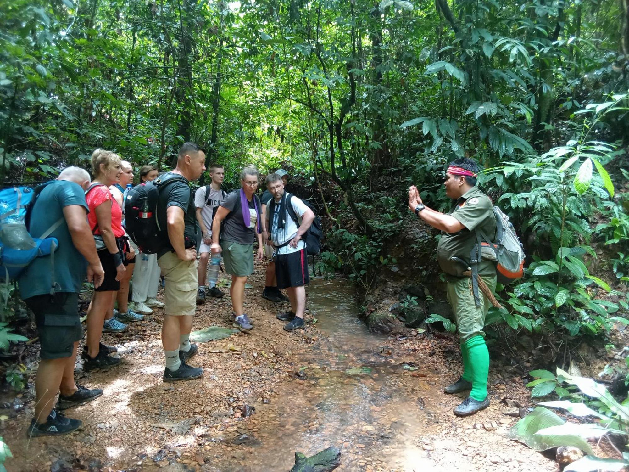 Jungle treking Vandrerhjem Bukit Lawang Eksteriør bilde